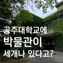 공주대학교공주캠퍼스박물관 네이버블로그