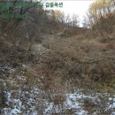 단양군어상천면석교보건진료소 | (충북 단양군토지(전)경매) 단양군 어상천면 대전리 900 ○ 2017타경3641 예상낙찰가