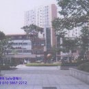 영통로174번길 이미지