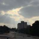 유니콘 | 13. 유니콘 독후감대회 후기🦄