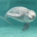 고성군문화체육센터공연장 이미지