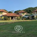 궁전애견 이미지