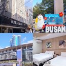 아몬드호텔 | 부산역호텔 부산여행 가성비 좋은 아몬드호텔 조식 후기
