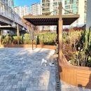 고려쉼터 이미지