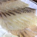제주해양수산 | 안산 선부동 제주해양수산 깨끗한 수족관에서 꺼내온 광어 신선회 맛집 | 해물 서비스가 만족스런...
