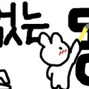 헐 배너 바뀜 이미지