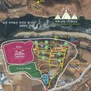 평화강변수목캠핑장 이미지