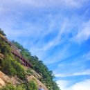 치유의숲 공중화장실 이미지