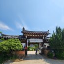 [경북 칠곡] 왜관 나들이 #3. 꽃과 이야기를 품은 매원 한옥 마을