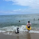 평창쁘띠빌리지 이미지