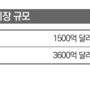 블레저 이미지
