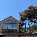 파베뉴(Pavenue) 이미지