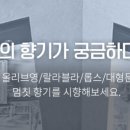 마린 소프트 이미지