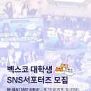 [공모전사이트] [벡스코] 2025년 벡스코 대학생 SNS서포터즈 모집 (~2/12 마감 이미지