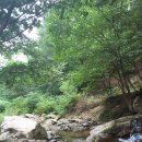 금동계곡유원지 네이버블로그