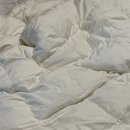 호텔 제로 | 가성비 호텔이불 제로어클락 후기