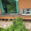 정희네 들꽃이야기 이미지