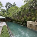 블리스50 | [발리 우붓 숙소 추천] 사바나 블리스 우붓 내돈내산 솔직후기