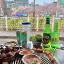 한성대하래비카페 | 서울 한성대입구 벚꽃명소 성북천야장 고기맛집“방목”