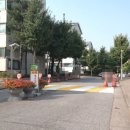 성포대한약국 이미지