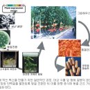 생활 속 과학이야기 국민일보