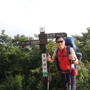 노고단-14 이미지