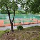 태평테니스장 이미지