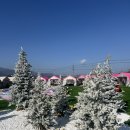 더선 | 대구근교 캠프닉 영천 캠핑인더선 크리스마스 많이 아쉬운 후기