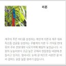 신양1리 | 제주올레길,제18-1코스(추자도) - 2