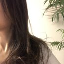 어프레시 이미지