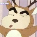 흥참치