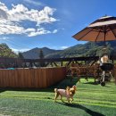 까망베르2호점 이미지