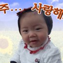 솔지보리
