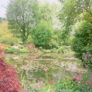 모네의정원 이미지