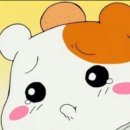 휘트니스엠 이미지