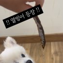 끼리까까 이미지