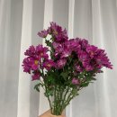 혜인즈블라썸플로리스트화훼학원