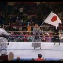 WWF 1993 Bashed In The USA Coliseum 마지막 이미지