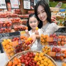 토마토플러스 이미지