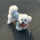 홍일반점 이미지