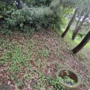 진주옥봉경로당 이미지