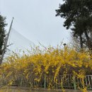 자기 해방의 글쓰기 | 글을 쓰는 이유&amp; 글을 써야하는 이유 - [세바시 275회 자기 해방의 글쓰기 | 김영하 소설가] / 힘들면...