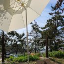 도봉-도봉-2105 | [2105] 여섯번째 캠핑. 태안둘레길캠핑장. 처음이자 마지막이었으면 우중캠핑.