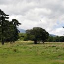 제주미주호텔 이미지