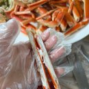 한이에너지 | 울산 강동 정자돌고래횟집 / 오도리마을 내돈내산 후기