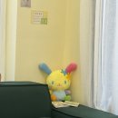 오뉴와 | 아산 배방 웨딩네일 오뉴네일 일본마그넷젤네일 후기