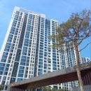 신길로29길 이미지