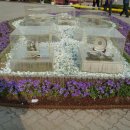 도니울목장 이미지