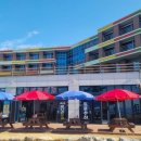 부안 짱아 이미지