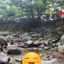 또여사네 네이버블로그